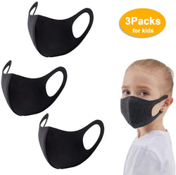 Dust Preventive Mask