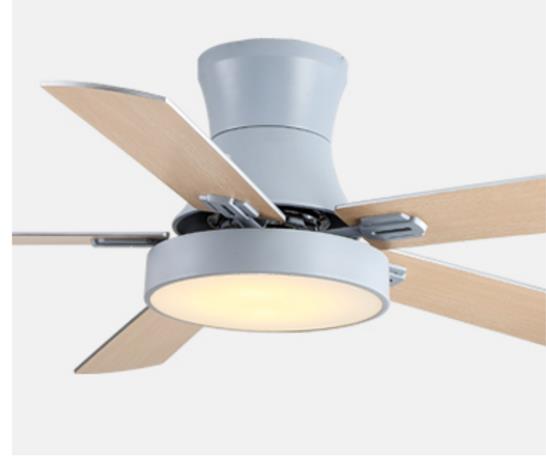 Remote Control Ceiling Fan Light