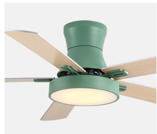 Remote Control Ceiling Fan Light