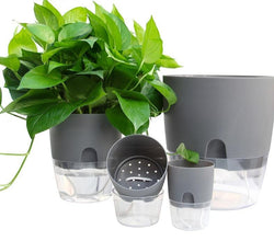 Nordic Automatic Self Watering Plants Pot