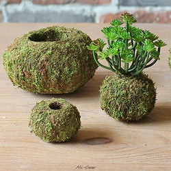 Moss Ball Pot Bird Nest Flower Plant For Home Garden