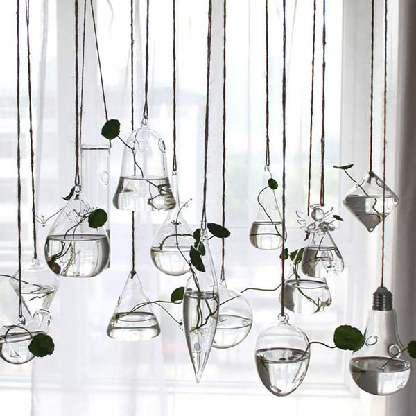 Hanging Glass Ball Vase Flower Plant Pot