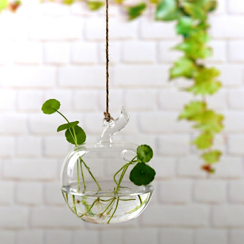 Hanging Glass Ball Vase Flower Plant Pot