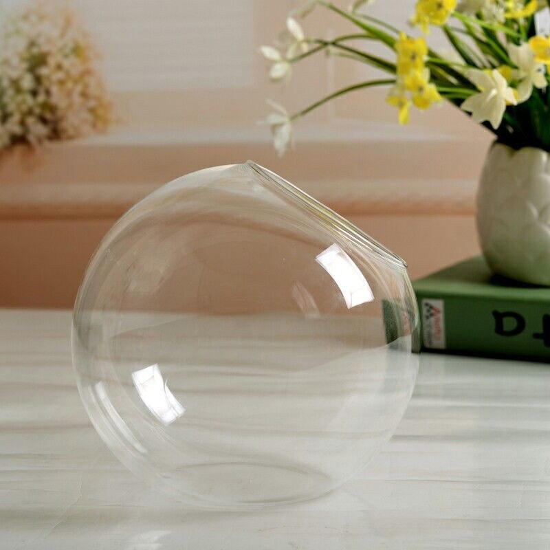 Clear Glass Vase Hanging Planter