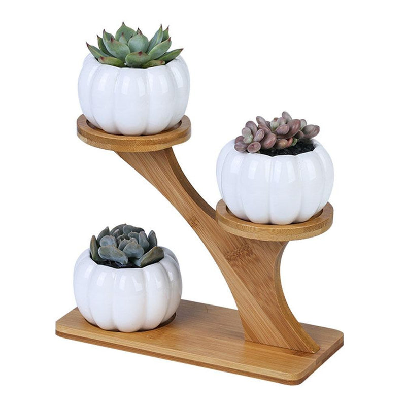 3 Tier Succulent Pots Mini Home Stand Set