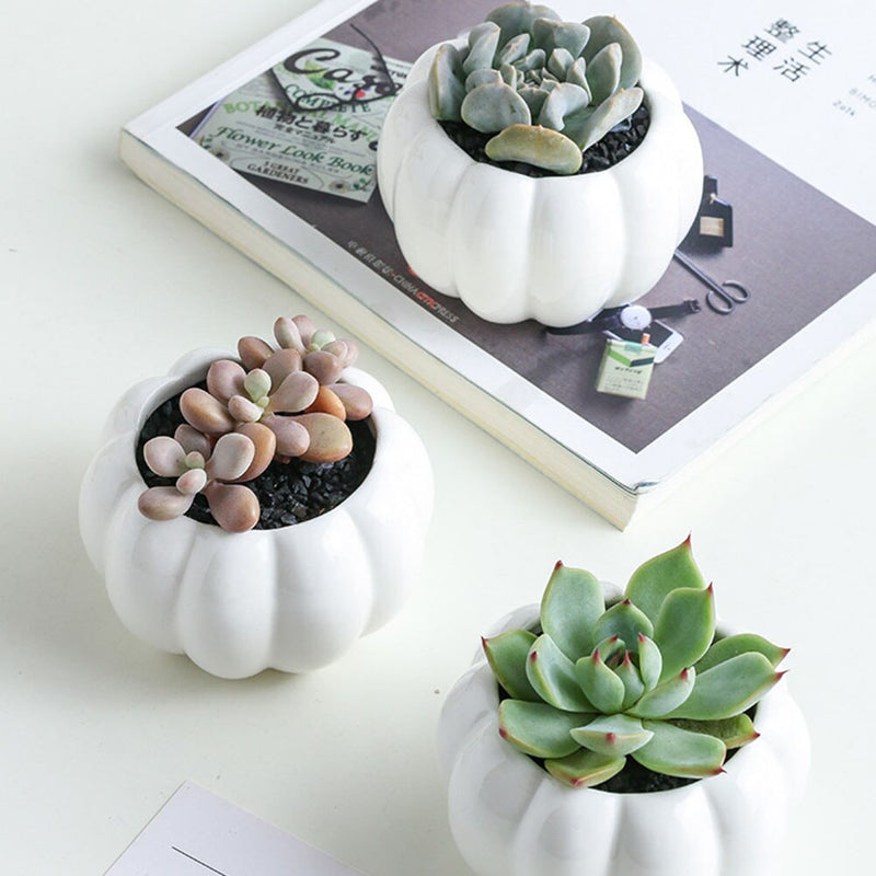3 Tier Succulent Pots Mini Home Stand Set