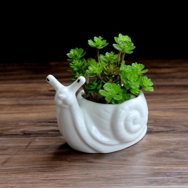 Ceramic Succulents Cactus Desktop Pots