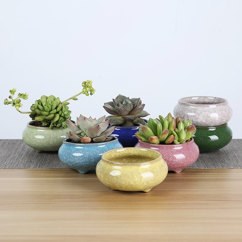Ice-Crack Ceramic Flower Pots For Juicy Plants
