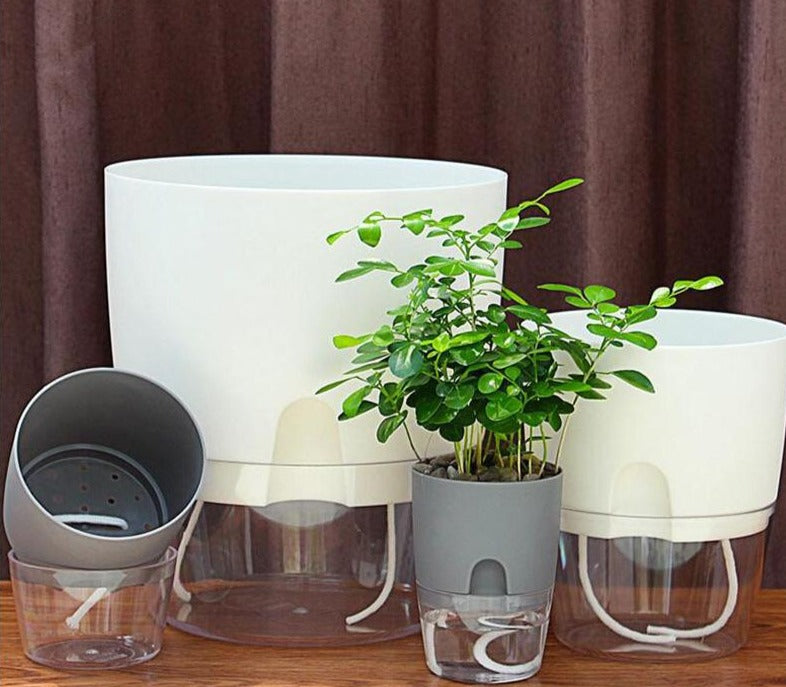 Nordic Automatic Self Watering Plants Pot