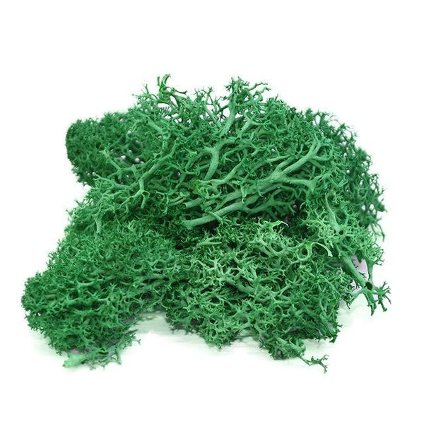 Natural High Quality Artificial Plant Moss
