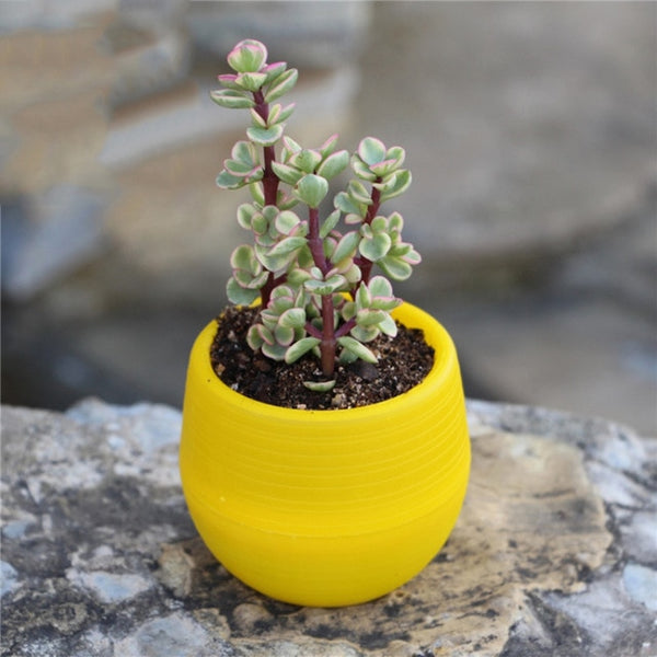 7*7cm Mini Flowerpot For Indoor Garden