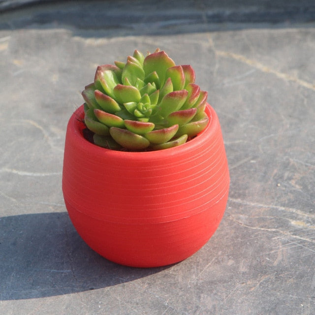 7*7cm Mini Flowerpot For Indoor Garden