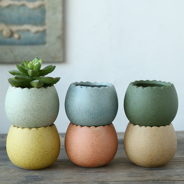 Classic Ceramic Succulent Cactus Plant