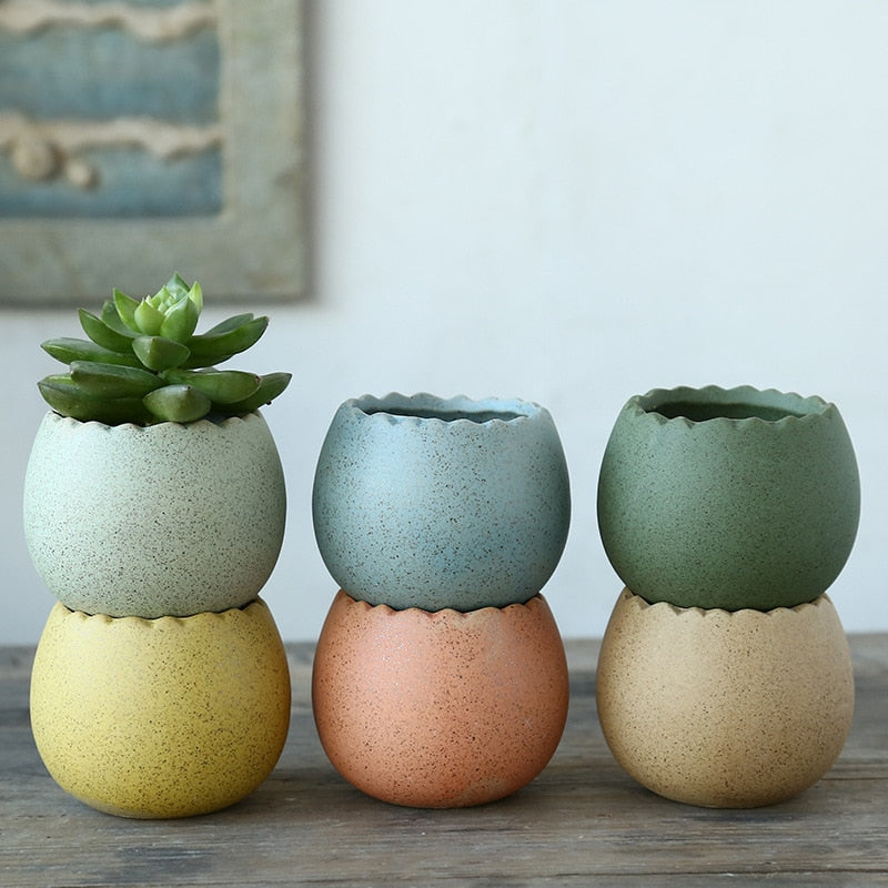 Classic Ceramic Succulent Cactus Plant