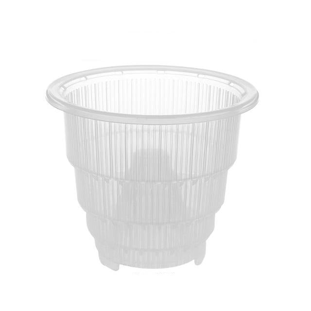 Plastic Clear Orchid Flower Container