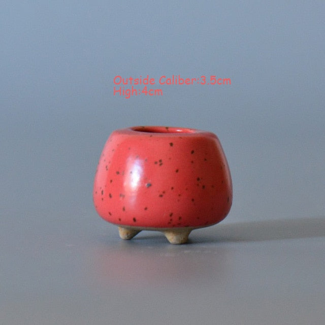 Mini shaped Succulent Flower Pot