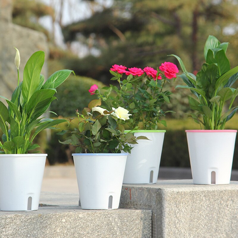 Succulent Plant Hydroponic Garden Flowerpot