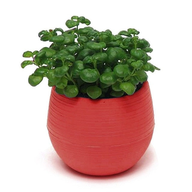 Mini Colourful Round Plastic Plant Flower Pot