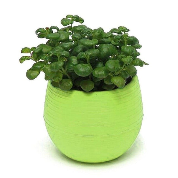 Mini Colourful Round Plastic Plant Flower Pot