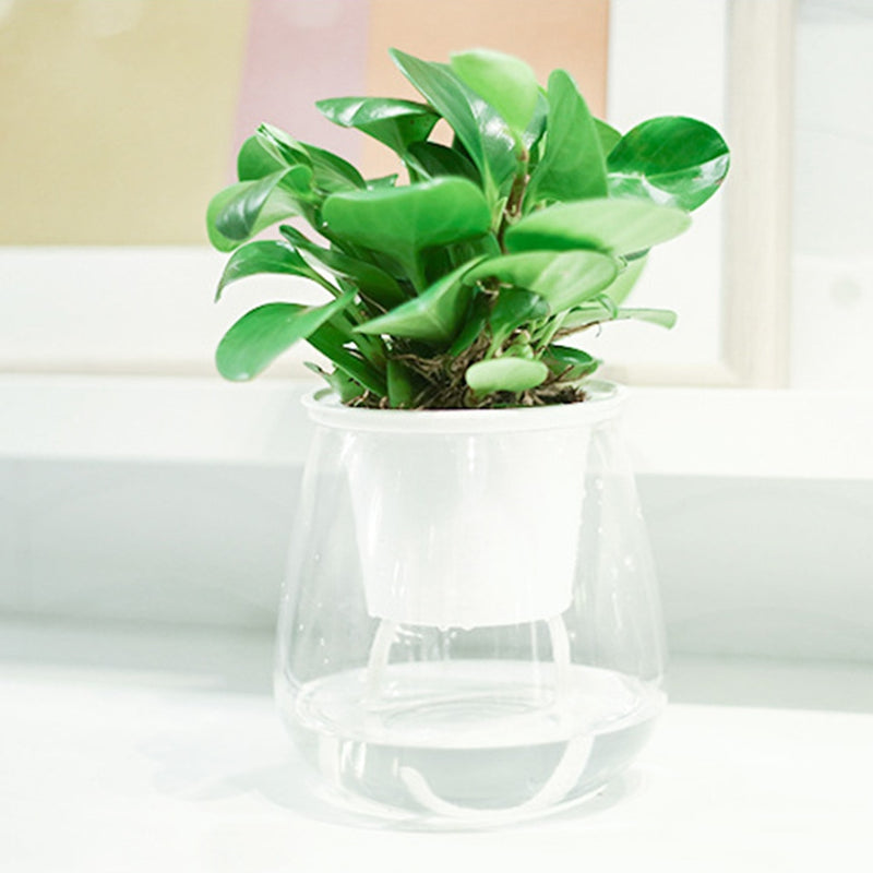Automatic Self Watering Plant Flower Pot