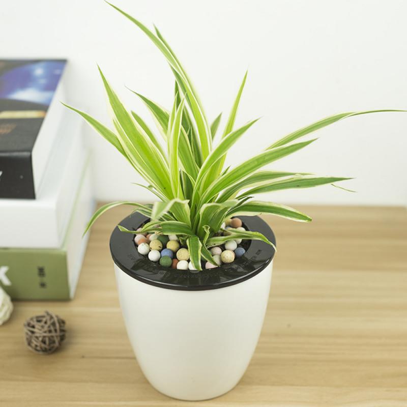 1 Pcs Automatic Self Watering Flower Plants Pot Put In Floor Irrigation For Garden Indoor Home Decoration Gardening Flower Pots