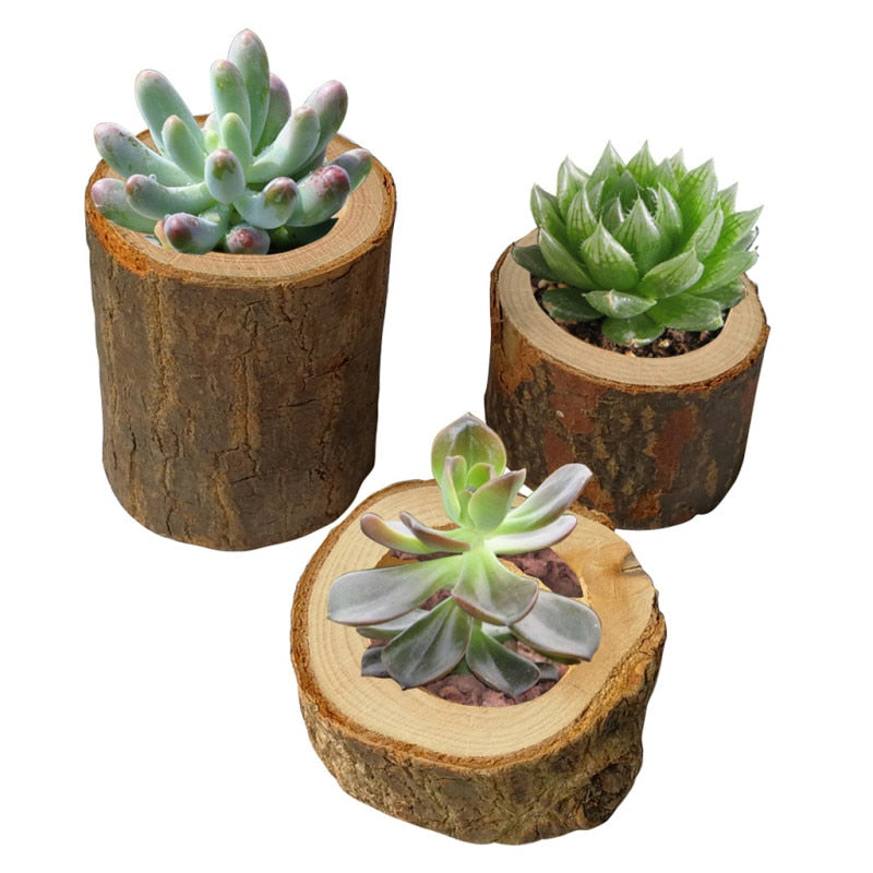 Cute Mini Wooden Round Plastic Plant