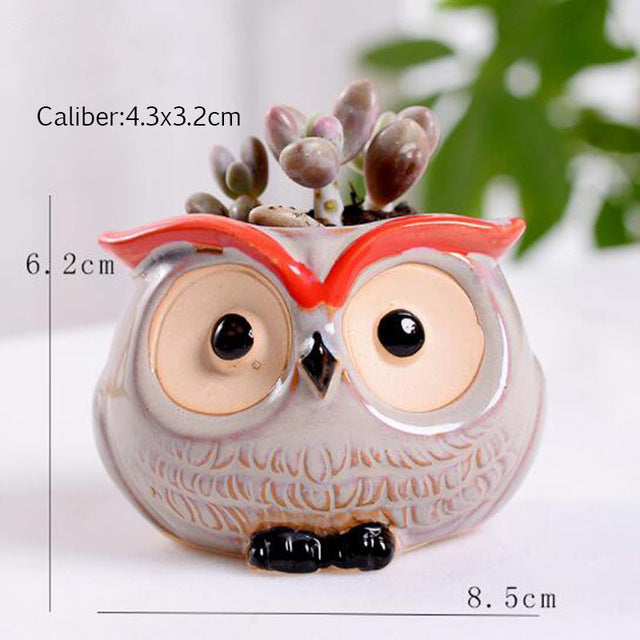 Mini Owl Flower Pot for Office Decor
