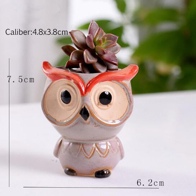 Mini Owl Flower Pot for Office Decor